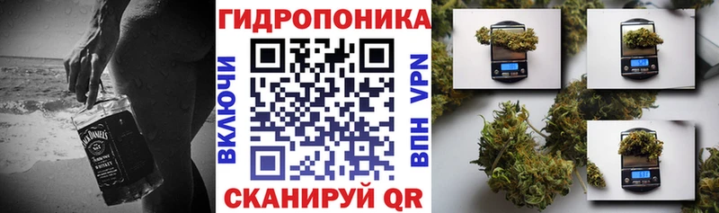 сколько стоит гидра ONION Каннабис план Чухлома